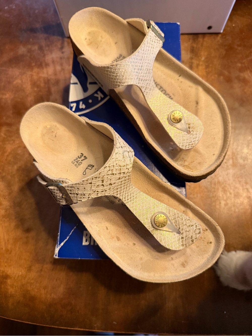 Birkenstock Gizeh Shiny Python / Eggshell Thong Sandals with Gold Accent